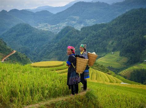 Manila to Banaue Bus, Minivan from $15 .